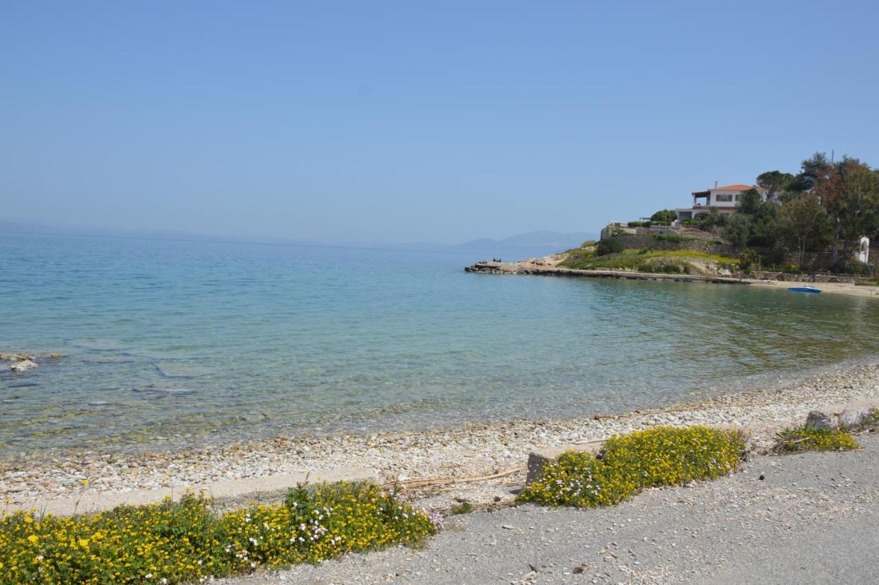 Epipleon Suites Agioi Apostoloi  Exterior foto